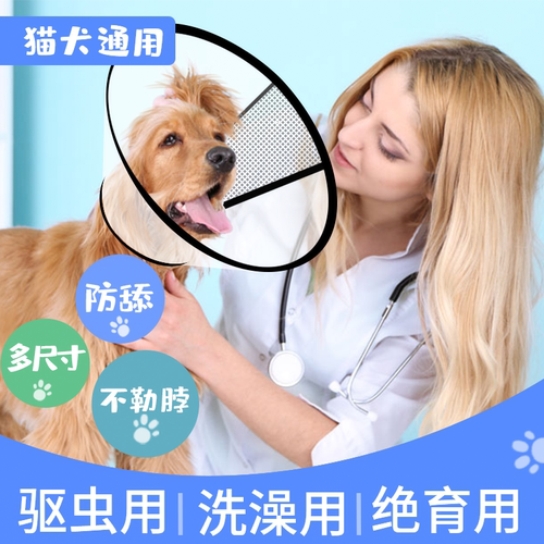 伊丽莎白圈狗狗防舔头套猫咪项脖圈套防咬抓挠绝育手术大型犬防水 - 图0