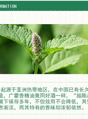 珍恋广藿香精油50ml纯单方