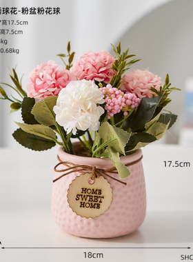 北欧创意玻璃花瓶ins透明客厅