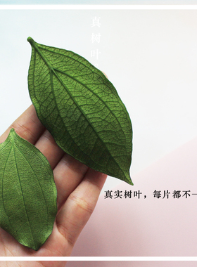 少女心树叶手工文艺一字夹发饰