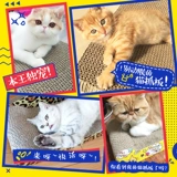 Когтеточка для кошек, шлифовальная машина для когтей, доска для кошачьих когтей, гофрированная бумага, износостойкая кошачья когтеточка, игрушка, когтеточка для котенка, кошачье гнездо, принадлежности для кошек