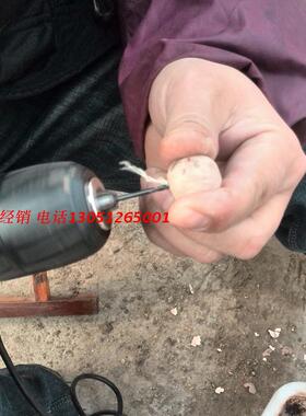 菩提籽快速打磨