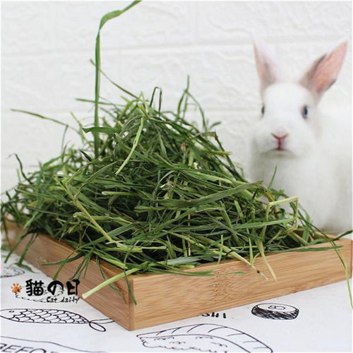 26年赫尔达南提摩西草烘干新鲜提莫西兔子牧草粮龙猫豚鼠毛重1kg - 图0