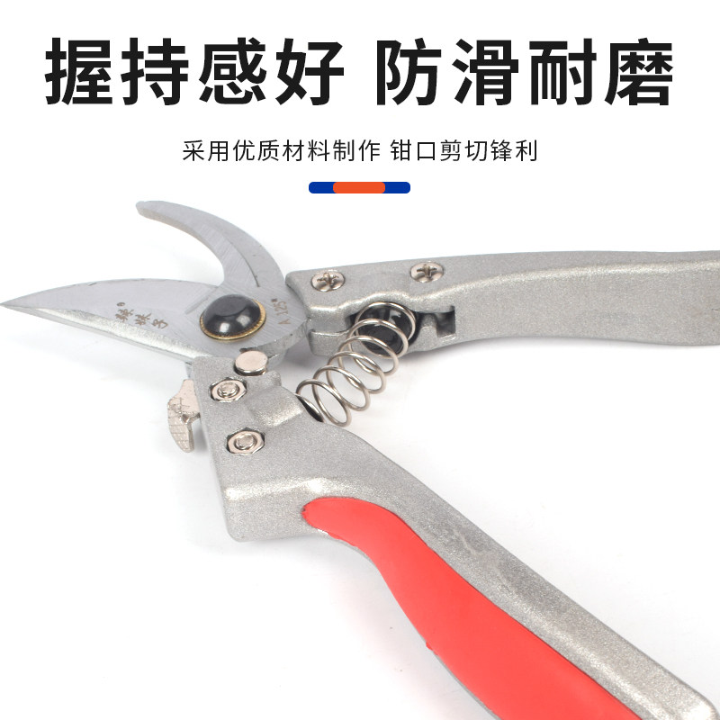 修羊蹄子剪刀羊修蹄刀兽用剪蹄刀羊修蹄工具剪脚趾剪子刀养羊用品,淘宝优惠券,粉丝福利购,淘宝优惠卷