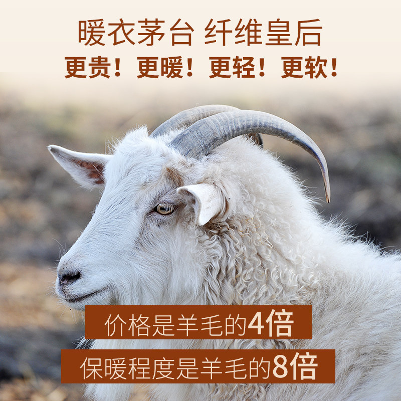 德绒蚕丝保暖男加绒自发热无痕内衣 莎瑞诗保暖上装