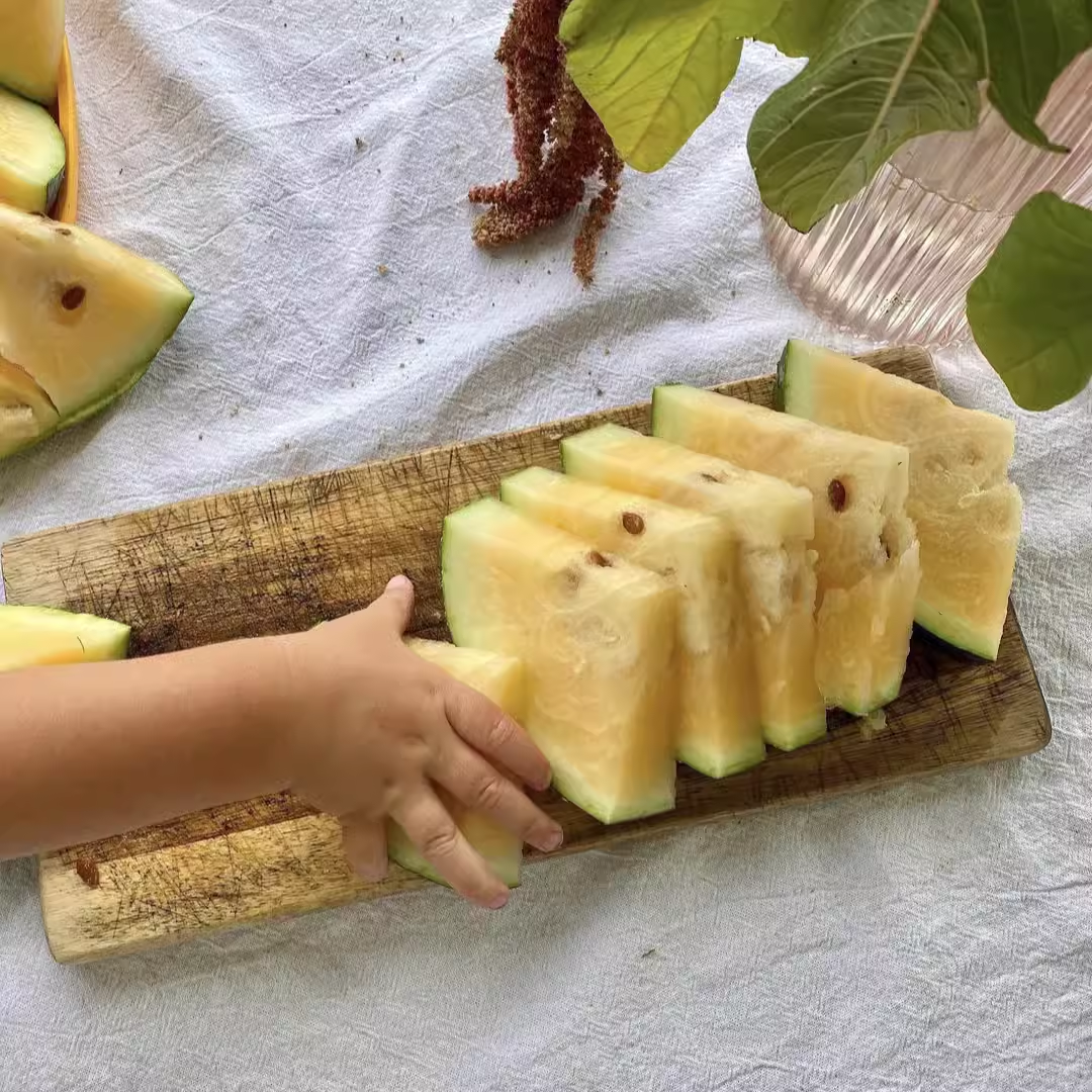 西瓜合集（荒野拾遗录）阳台露台露天家庭园艺种植小菜园甜美多汁,淘宝优惠券,粉丝福利购,淘宝优惠卷