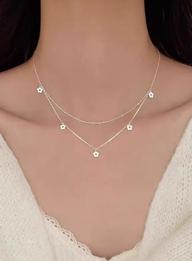 s925纯银花朵项链高级感轻奢小众女款2025新款精致设计感叠戴锁骨