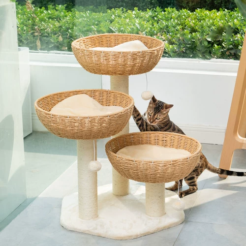 梅子猫 Плетение кошачьего гнезда