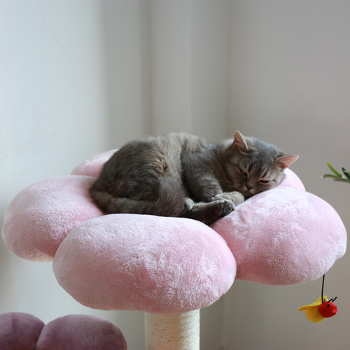 梅子猫＆凯瑞猫爬架大型猫底座豪华花朵猫窝猫树一体剑麻磨爪卡通 - 图1