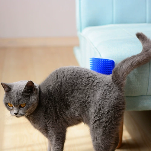 Расческа, мятная игрушка, кот, домашний питомец