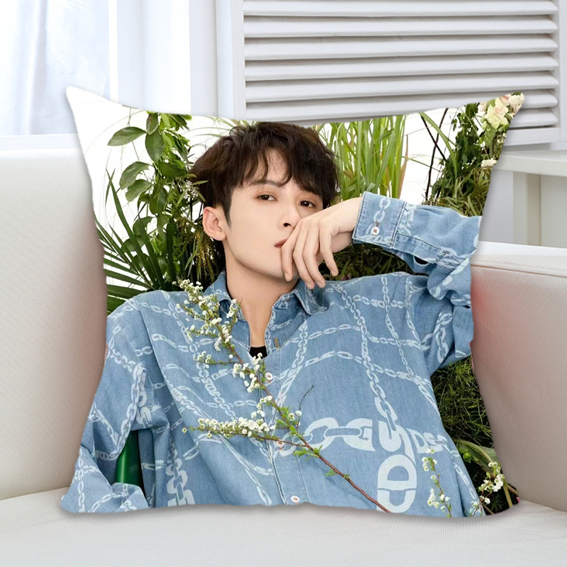 檀健次抱枕被子两用定制照片周边公仔送女生日礼物睡觉枕头被靠垫 - 图2