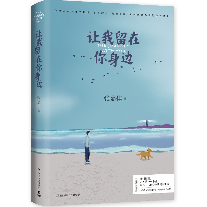 【赠明信片】让我留在你身边 张嘉佳2020年修订增补版 爱情情感小说青春文学书籍热卖书  睡前暖心故事集 云边有个小卖部 - 图3