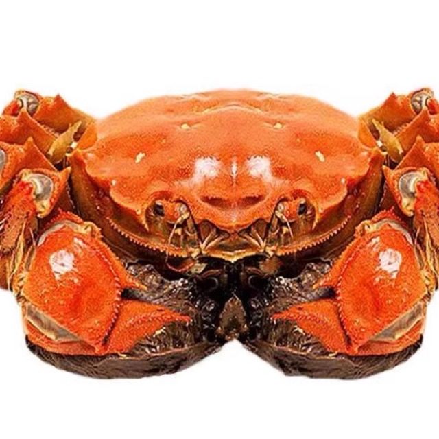 【活蟹】兴化精品挑红膏大闸蟹鲜活螃蟹河蟹4两公3两全母10只礼盒,淘宝优惠券,粉丝福利购,淘宝优惠卷