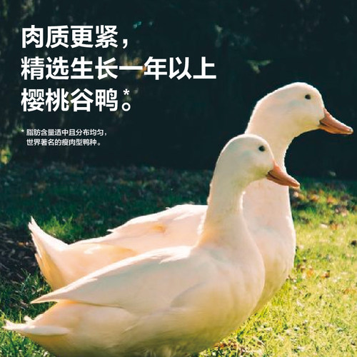 南京冠生园鸭血粉丝汤夜宵充饥速食解馋特产小吃老鸭粉丝汤 - 图0