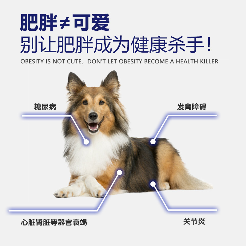 绝育专用狗粮绝育犬 肥胖狗 犬粮全犬种通用5斤2.5kg - 图1