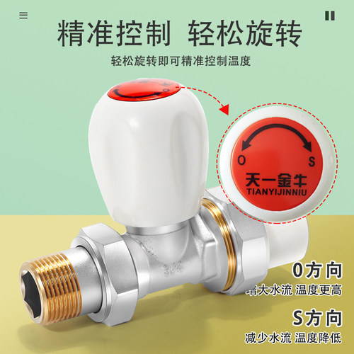 天一金牛 PPR温控阀 散热器暖气片阀门 暖气片角阀 PPR控温阀门 - 图1