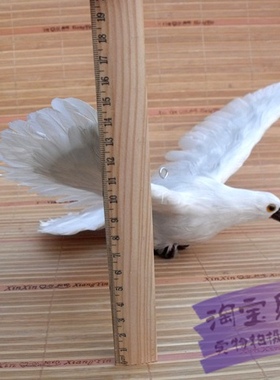 模型仿真鸽子拍摄道具动物标本
