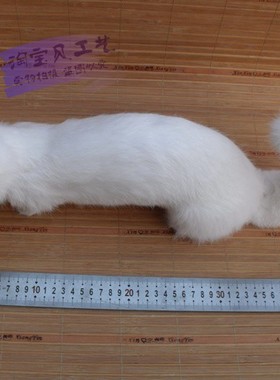 仿真摆件教学道具工艺品