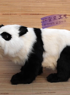 橱窗教学模型动物婚庆仿真陈列品