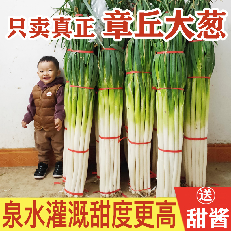 山东章丘大葱新鲜特级现挖正宗甜脆铁杆大葱特产蔬菜5斤香红葱头