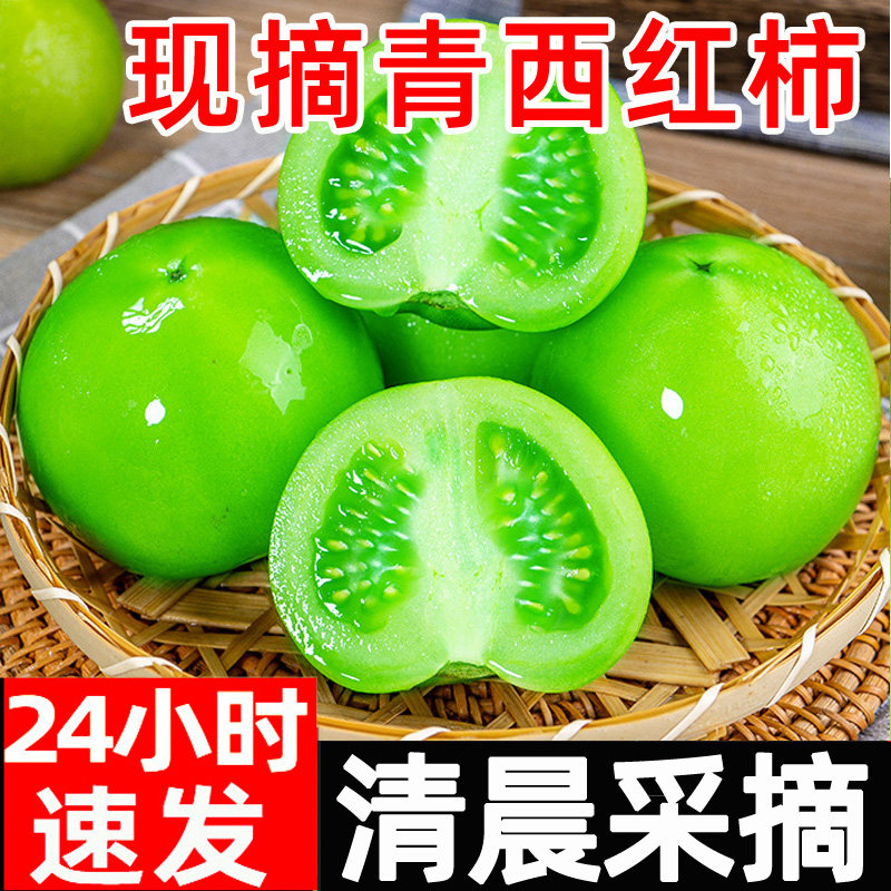 青番茄绿色西红柿新鲜大番茄生未成熟普罗旺斯柿子非自然熟圣女果
