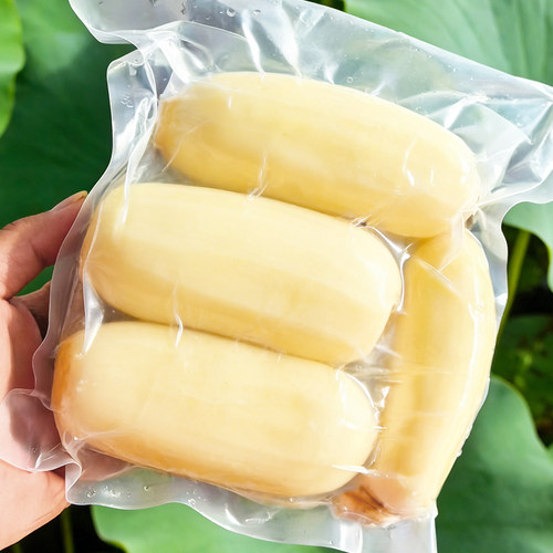 马踏湖白莲藕新鲜脆藕新鲜蔬菜顺丰包邮山东淄博生吃藕现挖凉拌藕 - 图0