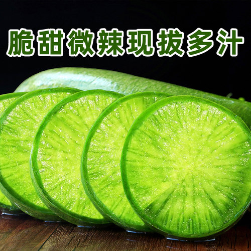 潍坊水果萝卜新鲜甜脆水果型顺丰青冰淇淋凤梨生吃正宗青绿胡萝卜 - 图1