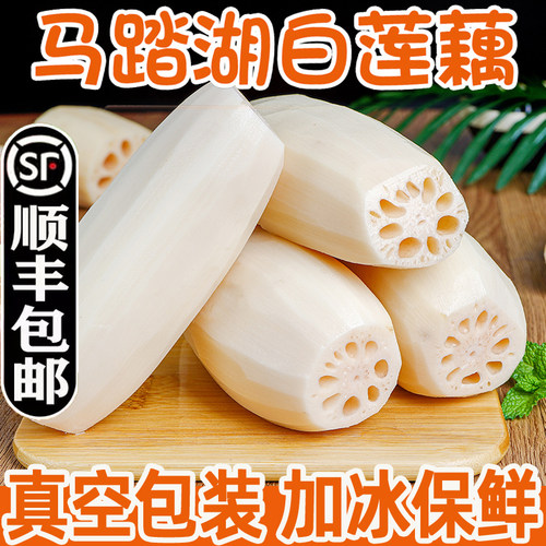 马踏湖白莲藕新鲜脆藕新鲜蔬菜顺丰包邮山东淄博生吃藕现挖凉拌藕 - 图1