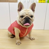 Утепленная утепленная толстовка, милый жилет, осенний сезон, с медвежатами