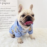 Демисезонный хлопковый пуховик, толстовка с капюшоном, осенний сезон