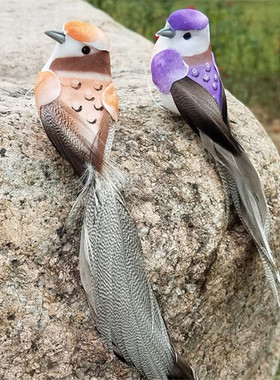 仿真小鸟装饰品摆件教学道具真羽毛泡沫假鸟墙面捆绑壁挂园林树枝