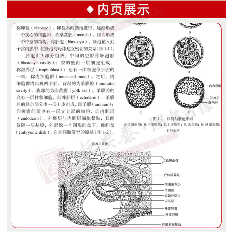 现货【2019第5版】临床血管外科学(第5版）蒋米尔等编外科学血管外科的基本理论基本知识和基本操作科学出版社-图2