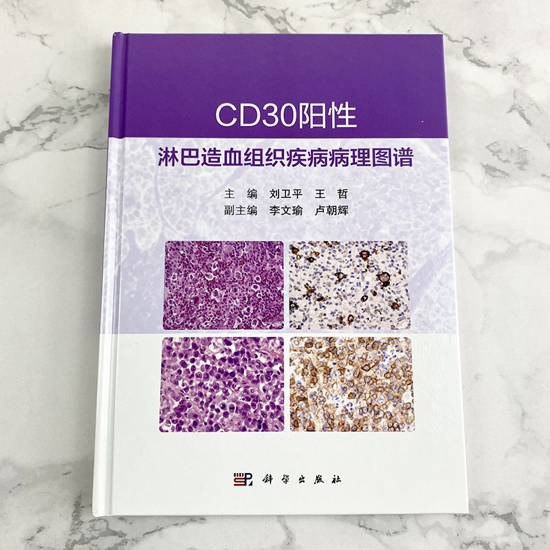 【2022新版】CD30阳性淋巴造血组织疾病病理图谱刘卫平王哲主编恶性肿瘤血液肿瘤临床诊治肿瘤学淋巴组织肿瘤淋巴组织增生性疾病-图0