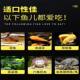 Benthic fish feed soft-shell turtle food sinking type Lanshou koi butterfly carp parrot fish blue shark lucky cat silver dragon universal