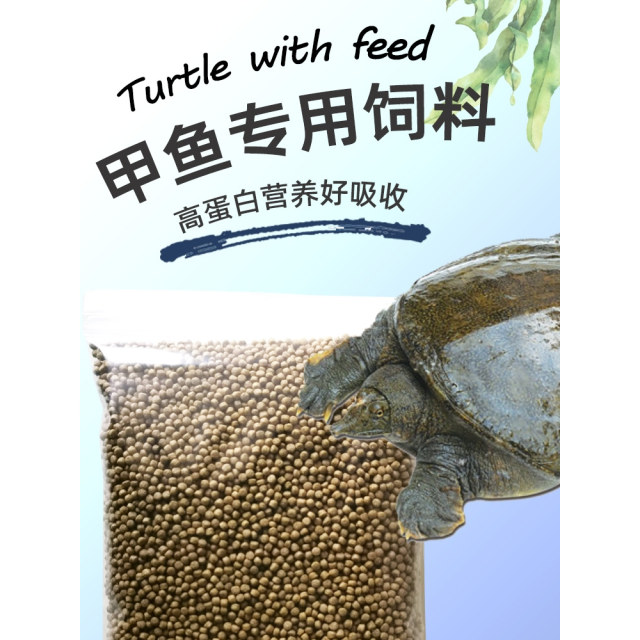 Cultured soft-shell turtle feed Chinese soft-shell turtle king eight pearl soft-shell turtle ຖົງໃຫຍ່ຜູ້ຜະລິດຂາຍໂດຍກົງອາຫານເຕົ່າ soft-shell