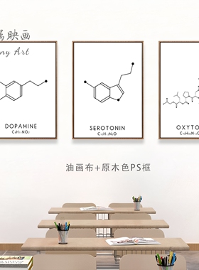 化学实验室装饰画初中高中教室学生房间物理生物试验挂画海报氧气