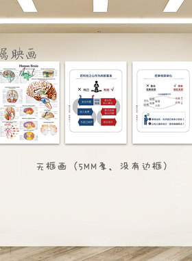 英文人体解剖图肌肉装饰画脊神经大脑结构示意挂画医院诊所墙壁画