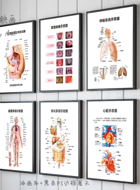 人体解剖图装饰画器官大脑内脏结构示意挂画医院诊所墙壁海报挂图