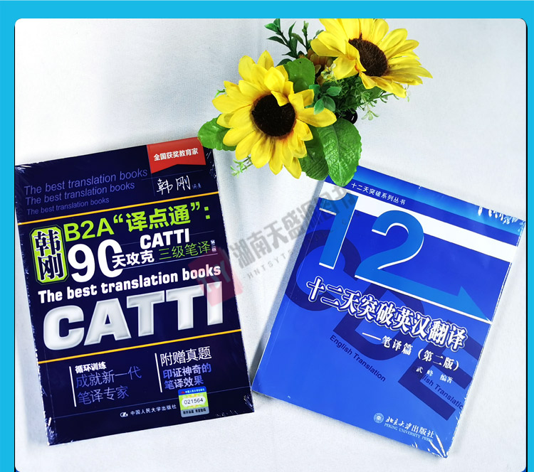 正版 catti 韩刚三级笔译 武峰十二天突破 英汉翻译笔译篇  B2A译点通90天攻克  英语翻译考试用书 搭MTI 翻译硕士 二三笔词汇真题 - 图2