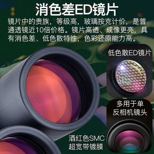 SAGA萨伽ED镜片双筒望远镜8X42/10X42高倍高清专业级防水寻蜂观鸟 - 图3