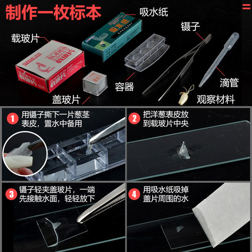 生物显微镜配件高清高透盖玻片切片玻璃标本制作工具样本实验耗材 - 图3
