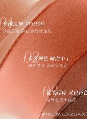 卡梅拉12色雾感柔焦唇盘哑光低饱和欧美亚裔妆多用口红盘