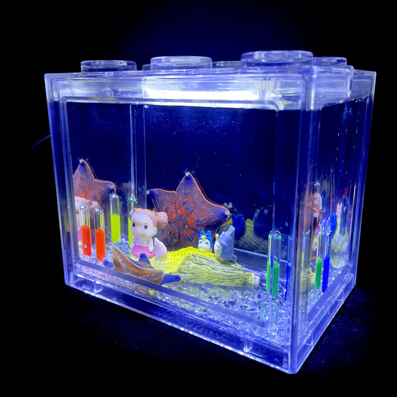 海星活宠物饲养套餐活体派大星家养小宠物学生宠物桌面造景生态缸 - 图1