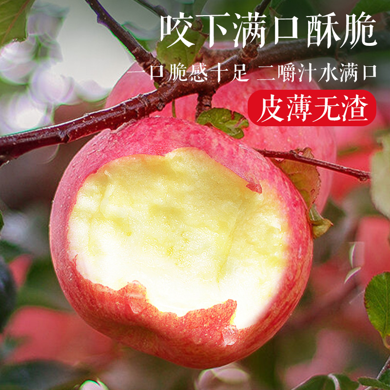 正宗陕西洛川红富士苹果水果新鲜甜脆10斤整箱当季冰糖心苹果丑