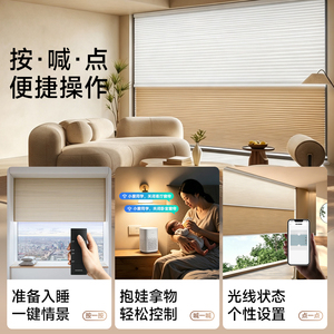 杜亚双排电动日夜蜂巢帘