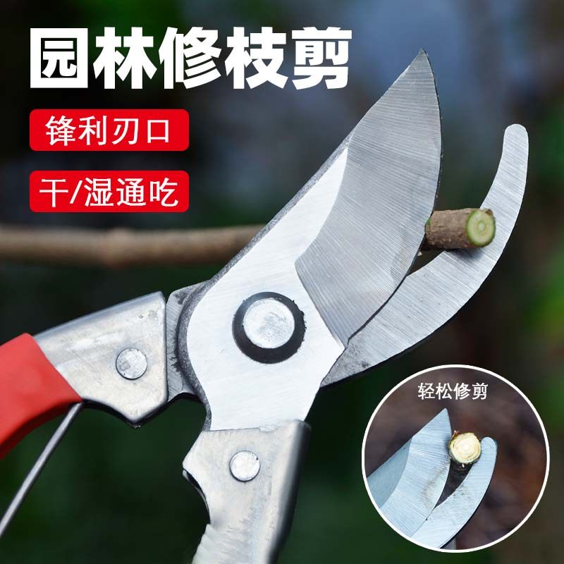 高硬度修枝剪果树剪刀园艺省力粗枝剪修树枝园林工具花艺省力剪子,淘宝优惠券,粉丝福利购,淘宝优惠卷
