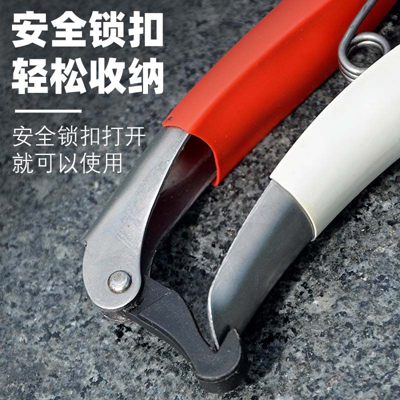 高硬度修枝剪果树剪刀园艺省力粗枝剪修树枝园林工具花艺省力剪子,淘宝优惠券,粉丝福利购,淘宝优惠卷