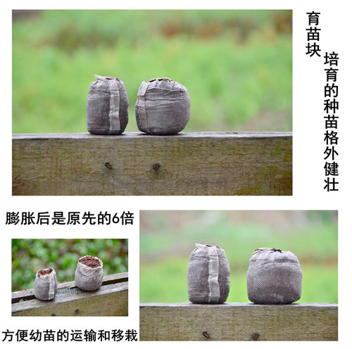 育苗块高发芽播种扦插有营养基质土通用培养型播种育苗块苗箱 - 图1