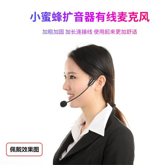 Teacher head-worn classroom microphone Seiko Bee