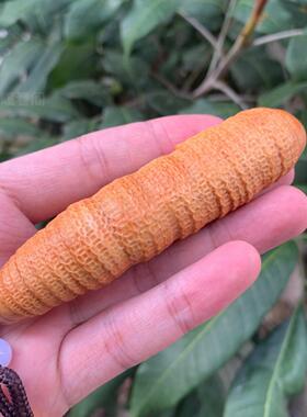 崖柏木雕腰蚕万贯招财蚕宝创意文玩手把件盘玩装饰桌面小摆件车挂